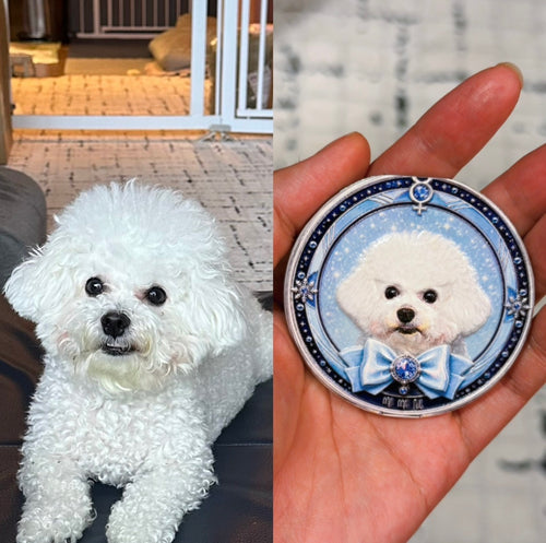 Sailor Pet Collection