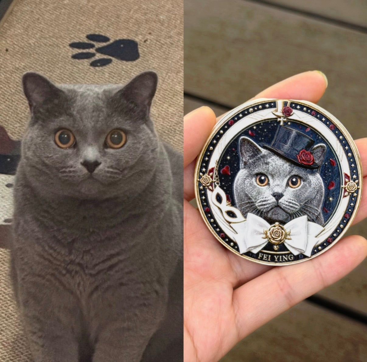 Sailor Pet Collection