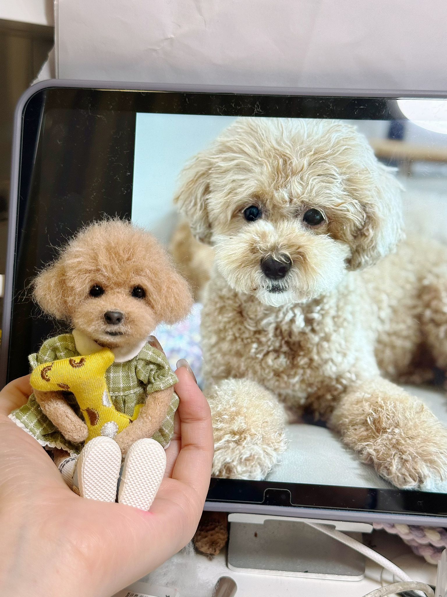 寵物羊毛氈娃娃（訂製）